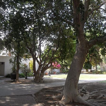 Almog Kibbutz Hotel Kültér fotó
