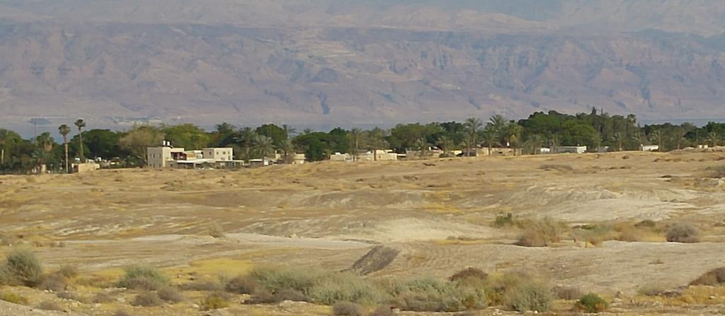Almog Kibbutz Hotel Kültér fotó