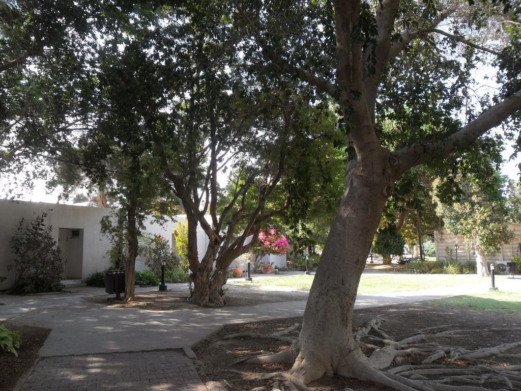 Almog Kibbutz Hotel Kültér fotó