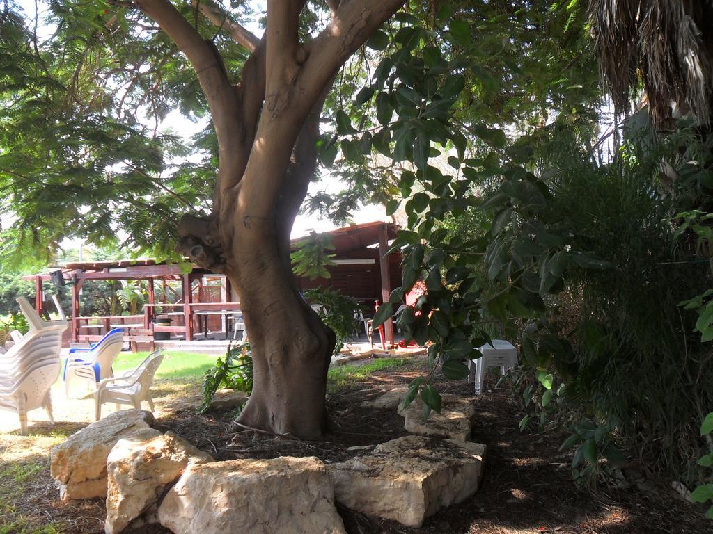 Almog Kibbutz Hotel Kültér fotó